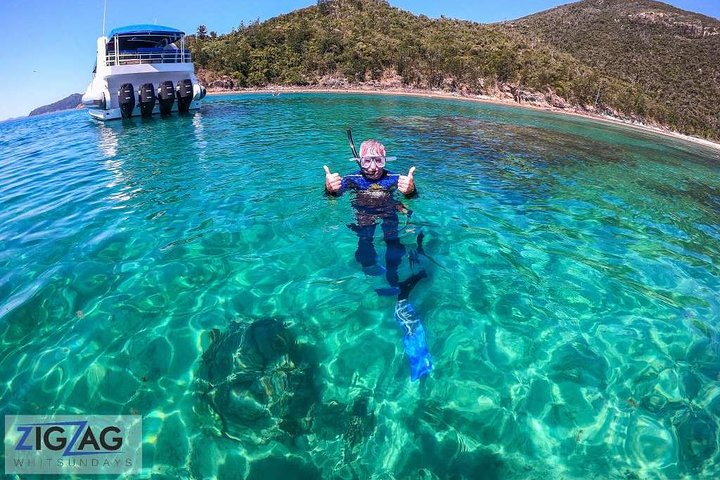 Eco-cruise to Whitehaven Beach and snorkelling in the Whitsundays, Australia, photo 8 | wizardtrip