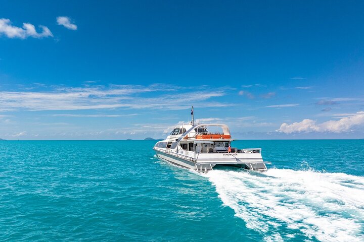 Eco-cruise to Whitehaven Beach and snorkelling in the Whitsundays, Australia, photo 30 | wizardtrip