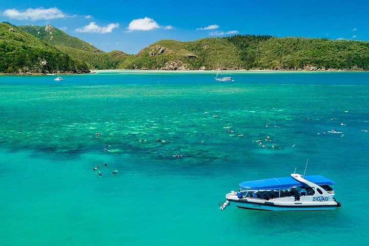 Eco-cruise to Whitehaven Beach and snorkelling in the Whitsundays, Australia, photo 33 | wizardtrip