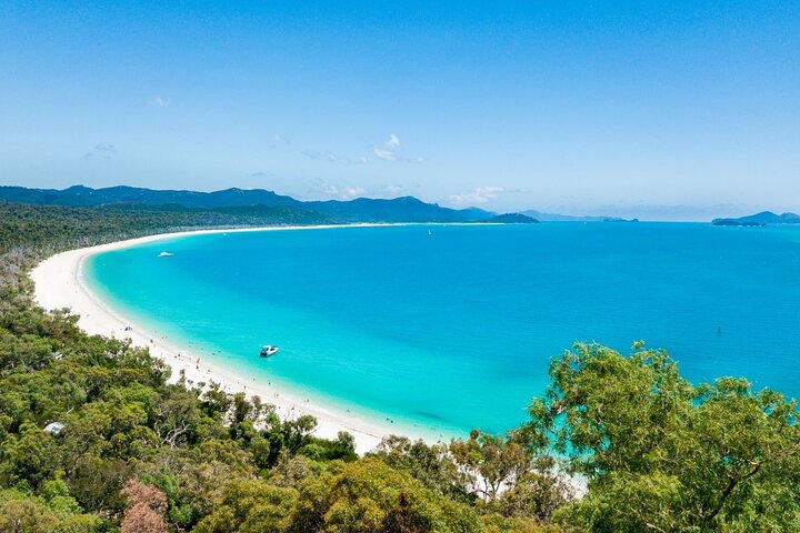 Eco-cruise to Whitehaven Beach and snorkelling in the Whitsundays, Australia, photo 39 | wizardtrip