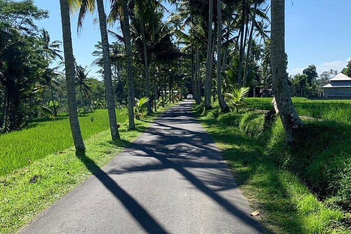 Excursion privée avec chauffeur à Bali, itinéraire personnalisable et Wi-Fi gratuit, photo 10 | wizardtrip