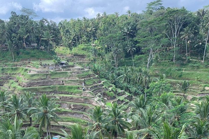 Excursion privée avec chauffeur à Bali, itinéraire personnalisable et Wi-Fi gratuit, photo 11 | wizardtrip