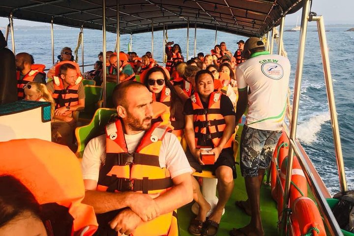 Upplev spännande val- och delfinskådningsturer i Mirissa, Sri Lanka, ombord på en lyxkryssare, foto 6 | wizardtrip
