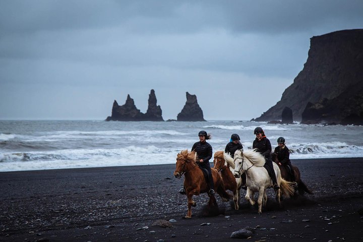 Balade à cheval sur la plage de sable noir depuis Vík | wizardtrip