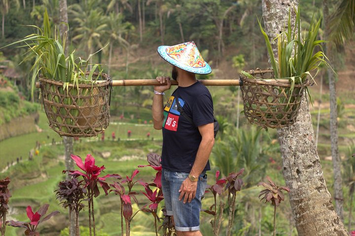 Tour privado explorando os terraços de arroz, cachoeiras, templos e santuário de macacos de Ubud em Bali, foto 12 | wizardtrip