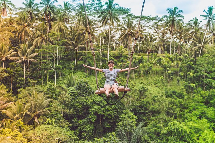 Tour privado explorando os terraços de arroz, cachoeiras, templos e santuário de macacos de Ubud em Bali, foto 13 | wizardtrip