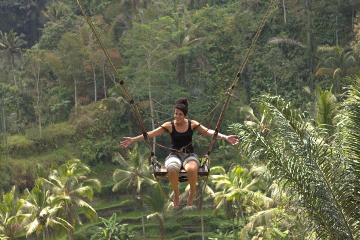 Tour privado explorando os terraços de arroz, cachoeiras, templos e santuário de macacos de Ubud em Bali, foto 16 | wizardtrip