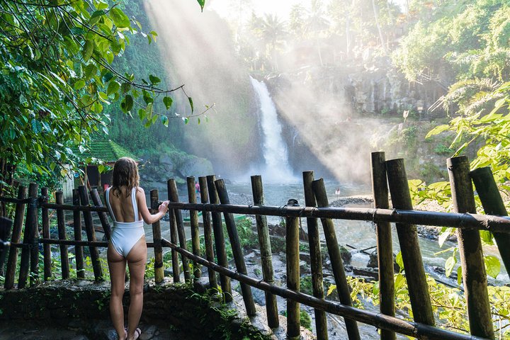 Heldagstur til Ubud, Bali, med jungelsving, risterrasser, templer og fossefall, foto 7 | wizardtrip