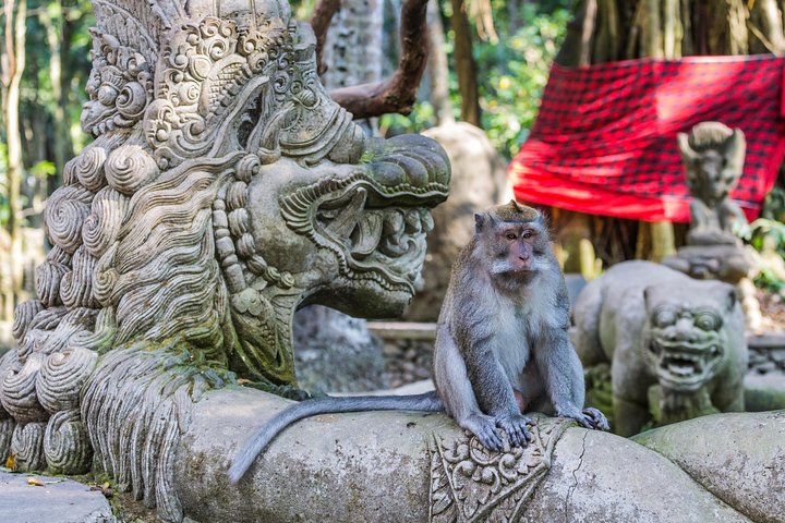 Heldagstur til Ubud, Bali, med jungelsving, risterrasser, templer og fossefall, foto 9 | wizardtrip