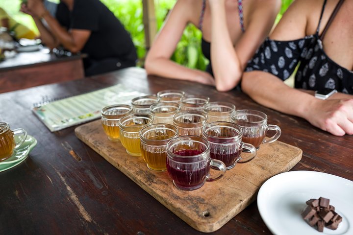 Heldagstur til Ubud, Bali, med jungelsving, risterrasser, templer og fossefall, foto 11 | wizardtrip