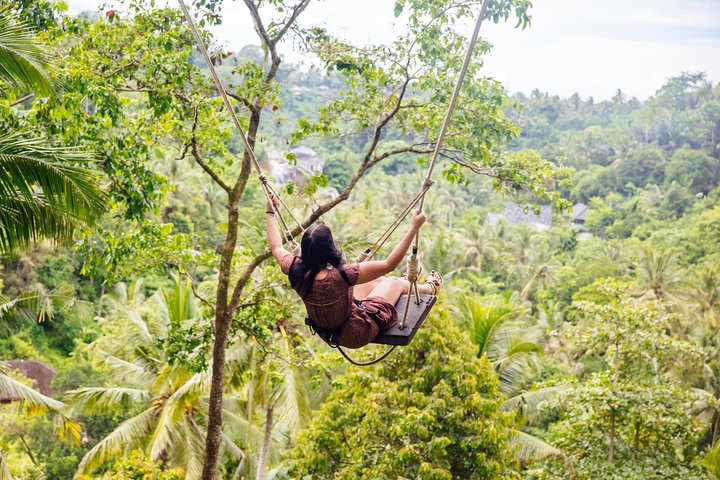 Heldagstur til Ubud, Bali, med jungelsving, risterrasser, templer og fossefall, foto 13 | wizardtrip