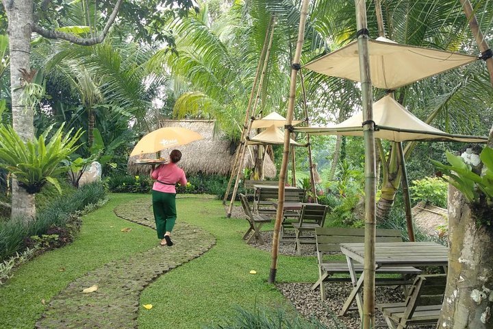 Heldagstur til Ubud, Bali, med jungelsving, risterrasser, templer og fossefall, foto 17 | wizardtrip