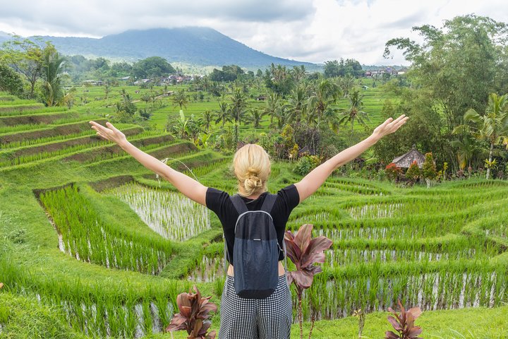 Full-day tour of Bali's water temples, UNESCO rice terraces, and Tanah Lot sunset, photo 6 | wizardtrip