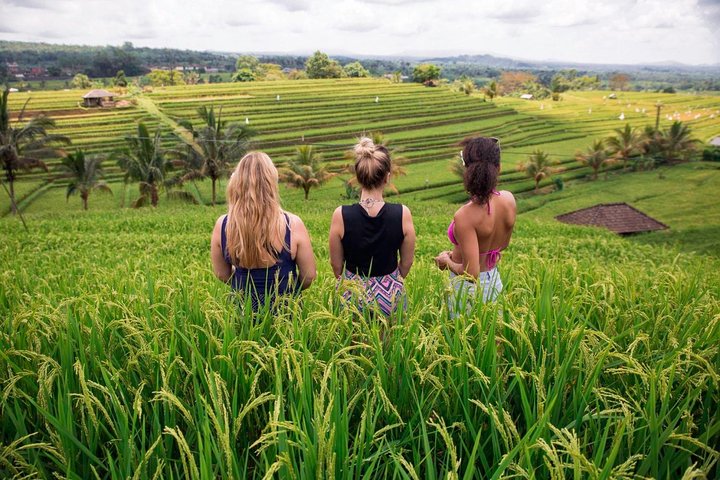 Full-day tour of Bali's water temples, UNESCO rice terraces, and Tanah Lot sunset, photo 11 | wizardtrip