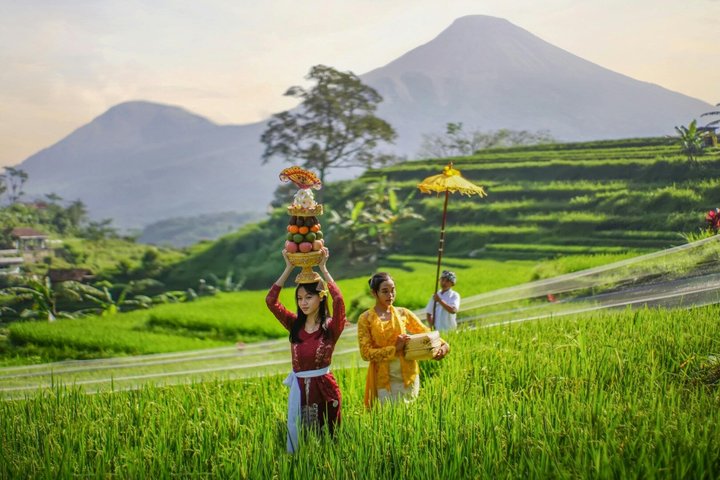 Full-day tour of Bali's water temples, UNESCO rice terraces, and Tanah Lot sunset, photo 20 | wizardtrip