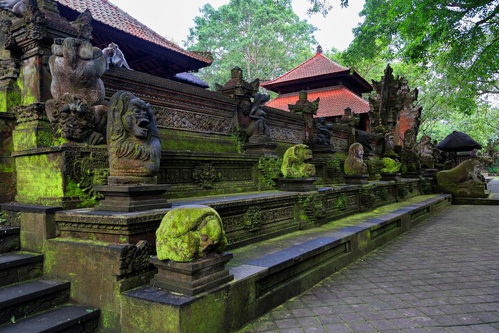 Verken de prachtige watervallen van Bali, zoals Tibumana, Tukad Cepung en Tegenungan, tijdens een privétour, foto 18 | wizardtrip