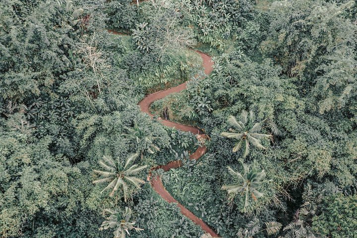 Passeio de ATV emocionante pela selva e campos de arroz de Bali, visitando o Santuário dos Macacos e templos de Ubud, foto 8 | wizardtrip