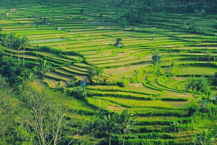 Privé Instagram tour op Bali met Lempuyang Tempel, berg Agung, Tegalalang rijstterras en watervallen, foto 12 | wizardtrip