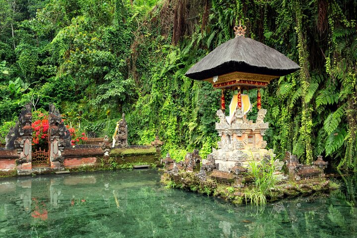 ウブドの滝、寺院、棚田などの自然の美しさと文化的な場所を巡ります、写真8 | wizardtrip