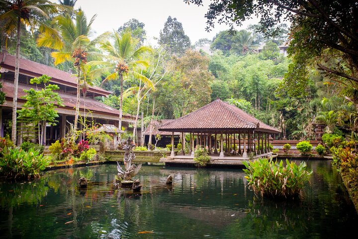 ウブドの滝、寺院、棚田などの自然の美しさと文化的な場所を巡ります、写真9 | wizardtrip