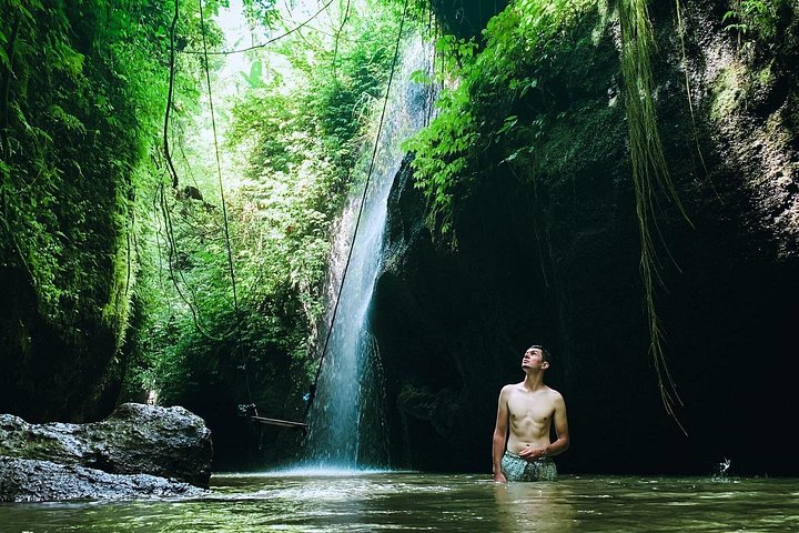 ウブドの滝、寺院、棚田などの自然の美しさと文化的な場所を巡ります、写真12 | wizardtrip