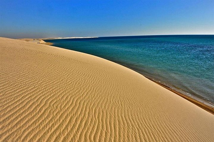 Erleben Sie eine aufregende Wüstensafari in Doha, Katar, mit Dune Bashing, Kamelritten und einem Besuch des Binnenmeeres, Foto 6 | wizardtrip