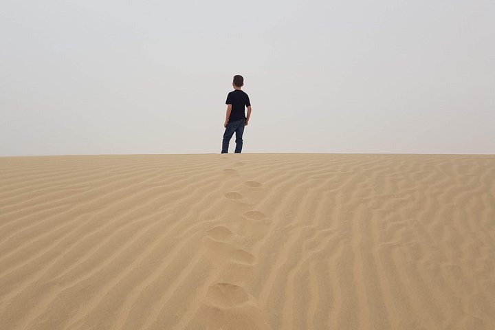 Spannende woestijnsafari in Doha met kamelenritten, ATV en sand surfen bij de Inland Sea, foto 17 | wizardtrip
