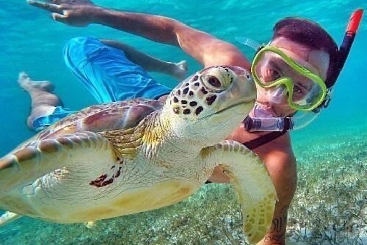 Snorklingsäventyr i det klara vattnet vid Balis Blue Lagoon Beach med livligt marint liv, foto 7 | wizardtrip