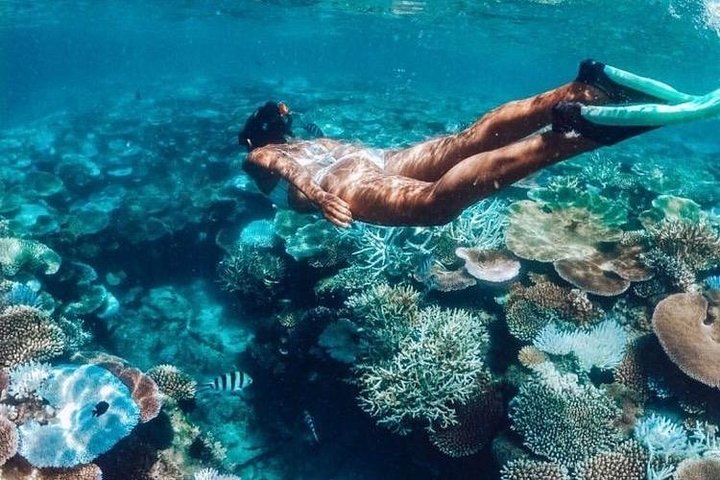 Snorklingsäventyr i det klara vattnet vid Balis Blue Lagoon Beach med livligt marint liv, foto 19 | wizardtrip