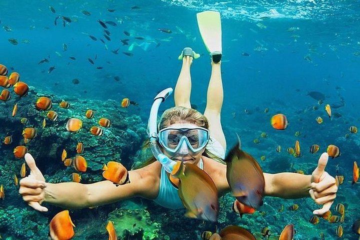 Snorklingsäventyr i det klara vattnet vid Balis Blue Lagoon Beach med livligt marint liv, foto 26 | wizardtrip