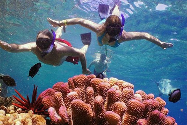 Snorklingsäventyr i det klara vattnet vid Balis Blue Lagoon Beach med livligt marint liv, foto 29 | wizardtrip