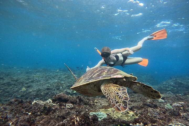 Snorklingsäventyr i det klara vattnet vid Balis Blue Lagoon Beach med livligt marint liv, foto 34 | wizardtrip