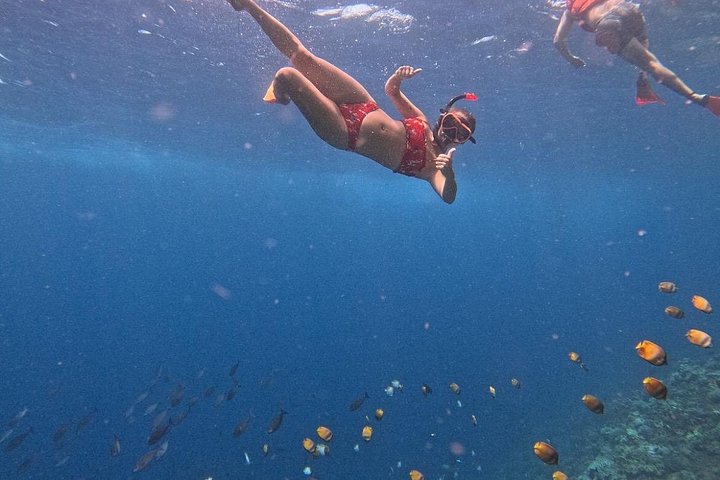 Snorklingsäventyr i det klara vattnet vid Balis Blue Lagoon Beach med livligt marint liv, foto 40 | wizardtrip
