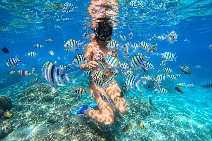 Snorklingsäventyr i det klara vattnet vid Balis Blue Lagoon Beach med livligt marint liv, foto 45 | wizardtrip