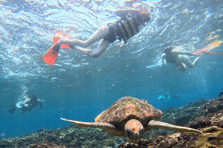 Snorklingsäventyr i det klara vattnet vid Balis Blue Lagoon Beach med livligt marint liv, foto 46 | wizardtrip