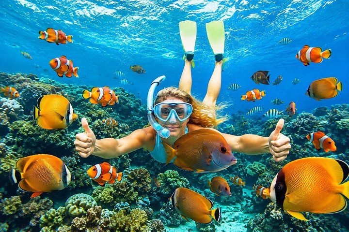 All Inclusive: Bali Blue Lagoon Snorkeling, Lunch, and Transport | wizardtrip
