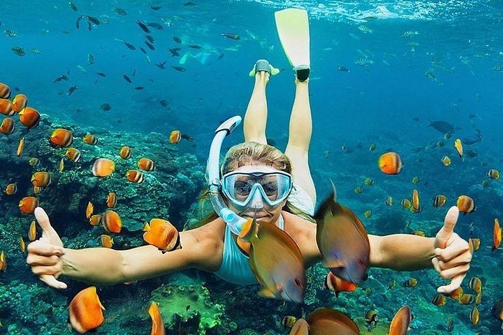 Aventura de snorkel en la playa Blue Lagoon de Bali, explorando arrecifes de coral y vida marina, foto 8 | wizardtrip