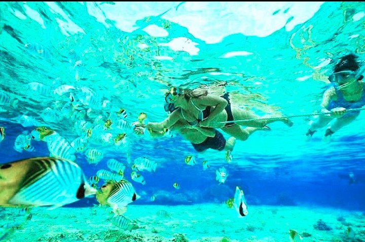 Aventura de snorkel en la playa Blue Lagoon de Bali, explorando arrecifes de coral y vida marina, foto 10 | wizardtrip