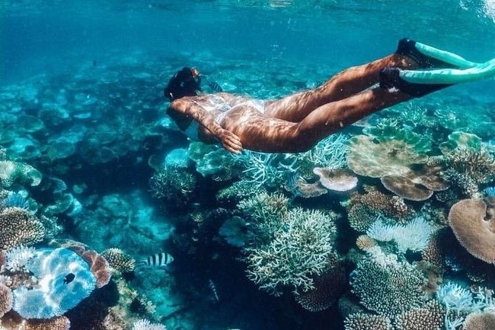 Aventura de snorkel en la playa Blue Lagoon de Bali, explorando arrecifes de coral y vida marina, foto 15 | wizardtrip