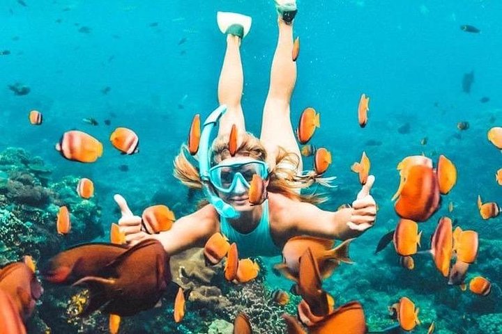 Aventura de snorkel en la playa Blue Lagoon de Bali, explorando arrecifes de coral y vida marina, foto 17 | wizardtrip