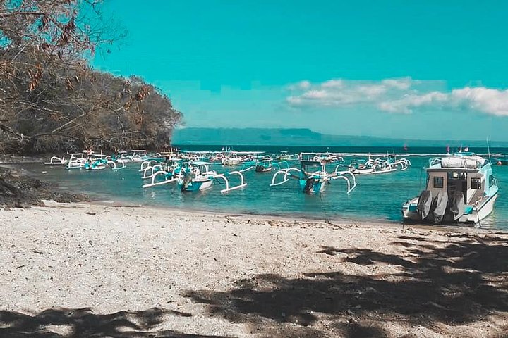 Aventura de snorkel en la playa Blue Lagoon de Bali, explorando arrecifes de coral y vida marina, foto 32 | wizardtrip