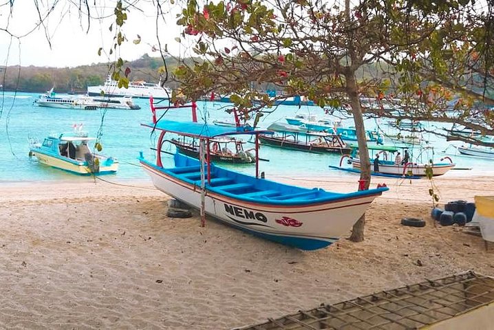 Aventura de snorkel en la playa Blue Lagoon de Bali, explorando arrecifes de coral y vida marina, foto 39 | wizardtrip