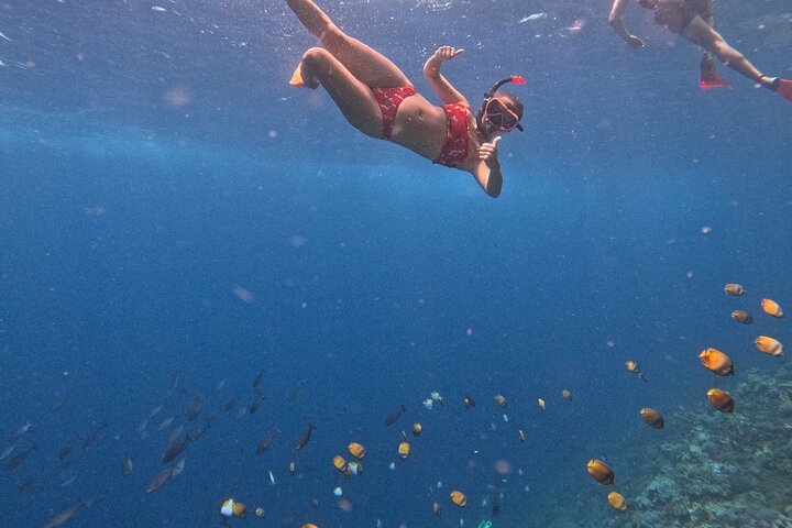 Aventura de snorkel en la playa Blue Lagoon de Bali, explorando arrecifes de coral y vida marina, foto 40 | wizardtrip