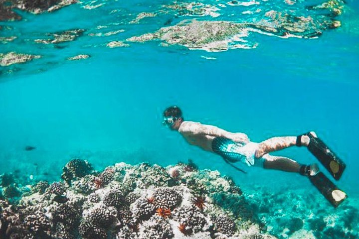 Aventura de snorkel en la playa Blue Lagoon de Bali, explorando arrecifes de coral y vida marina, foto 47 | wizardtrip