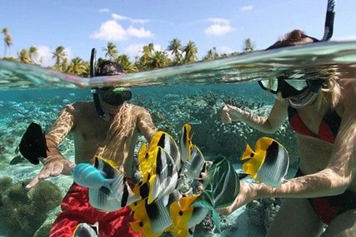 Snorkelavontuur bij Blue Lagoon en bezoeken aan watervallen op Bali, foto 18 | wizardtrip