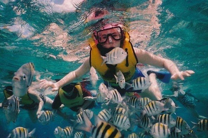 Snorkelavontuur bij Blue Lagoon en bezoeken aan watervallen op Bali, foto 21 | wizardtrip