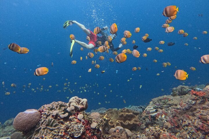 Snorkelavontuur bij Blue Lagoon en bezoeken aan watervallen op Bali, foto 40 | wizardtrip
