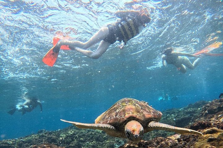 Snorkelavontuur bij Blue Lagoon en bezoeken aan watervallen op Bali, foto 41 | wizardtrip