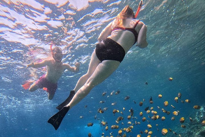 Snorkelavontuur bij Blue Lagoon en bezoeken aan watervallen op Bali, foto 49 | wizardtrip