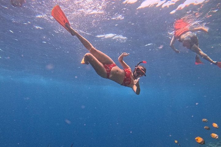 Snorkelavontuur bij Blue Lagoon en bezoeken aan watervallen op Bali, foto 51 | wizardtrip